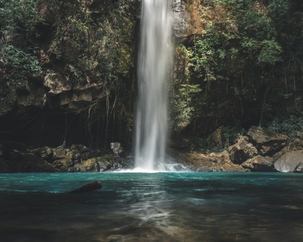 waterfalls between trees at daytime